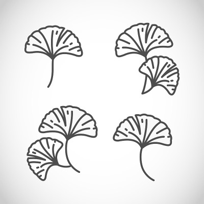 银杏图标设置细线样式向量
