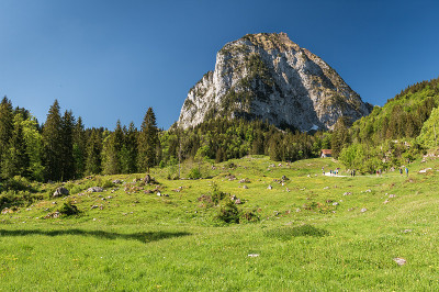 Brunni-Holzegg-Müsliegg Mythen地区的步道