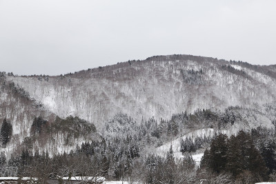 白川村冬天有雪