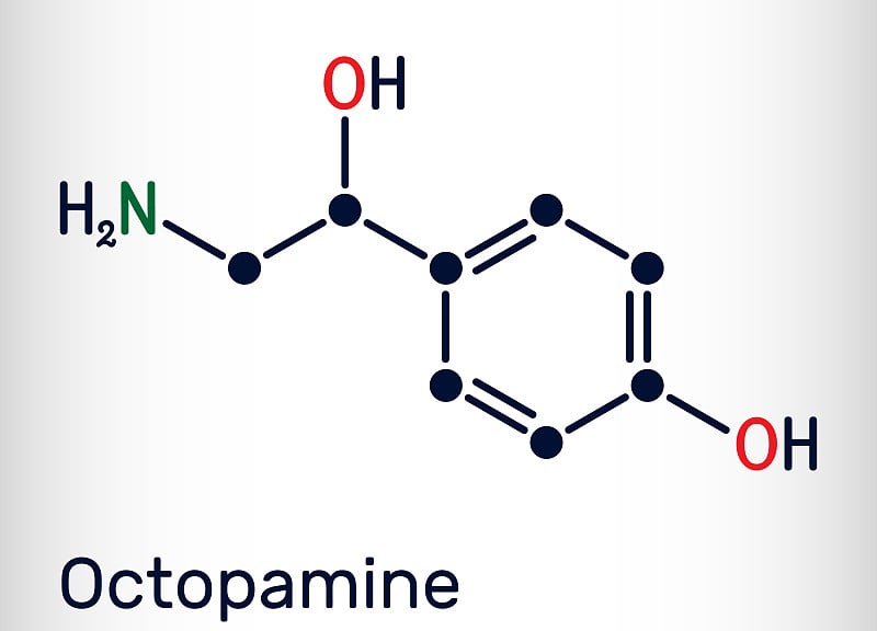 章鱼胺分子。它是生物苯乙醇胺，拟交感神经药物。骨骼的化学公式