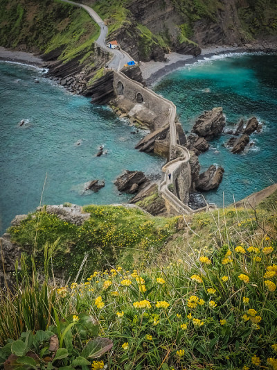 从圣胡安海岸到Gaztelugatxe。黄色的花在春天和夏天