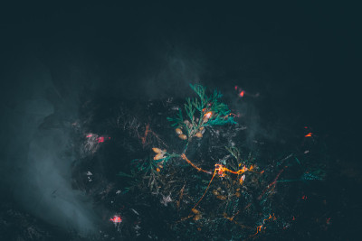 长曝光火照片，自然背景，选择性聚焦，胶片和纹理