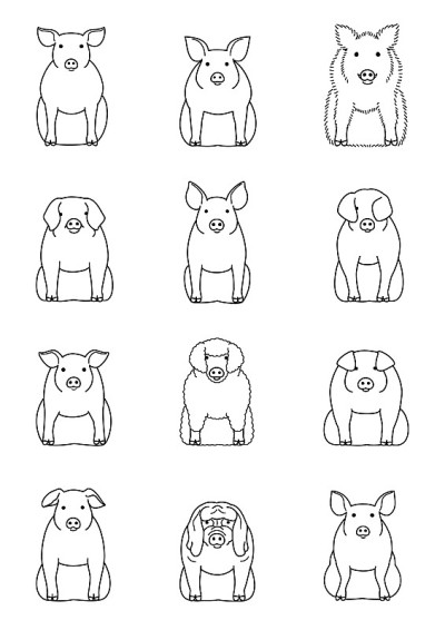 各种品种的猪