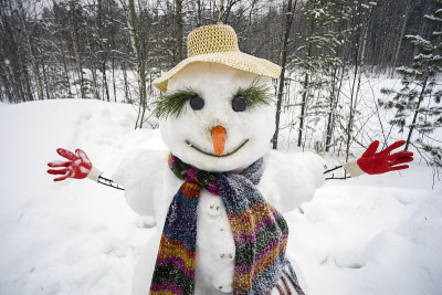 滑稽微笑的雪人站在树林里