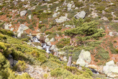 Peñalara冰川马戏团和Peñalara冰川泻湖，在马德里的瓜达拉马山脉。