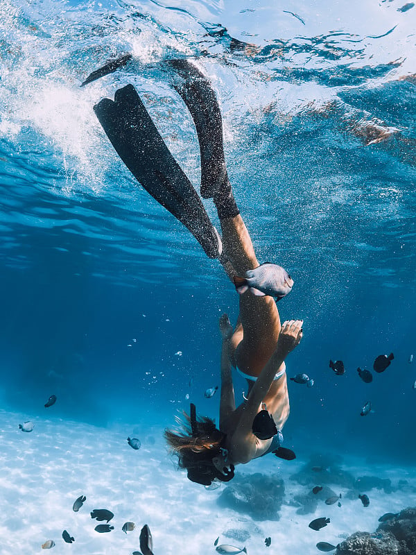 年轻女子自由潜水在比基尼与鱼滑过沙海。年成为了在夏威夷。