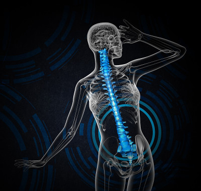 人体脊柱的3d渲染医学插图
