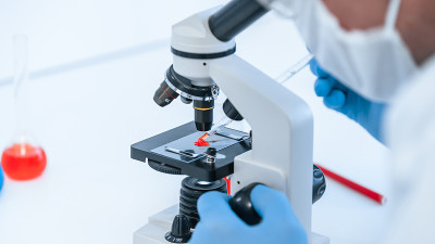 关闭了。科学家使用显微镜研究血液