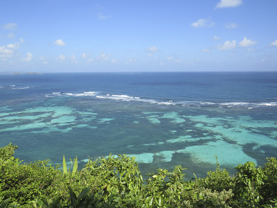 加勒比海的全景与绿松石水，珊瑚礁和热带植被