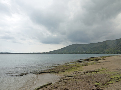 Amami海岸