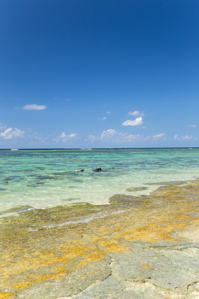 海滩(石垣米原海岸在日本