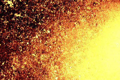 Golden metal texture background with high details