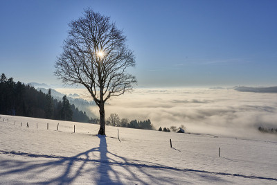 雪山景观与雾海山谷