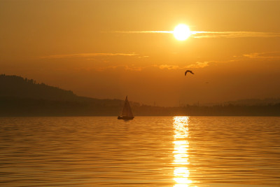 驶向夕阳