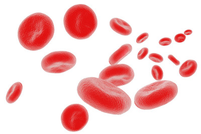 blood cell