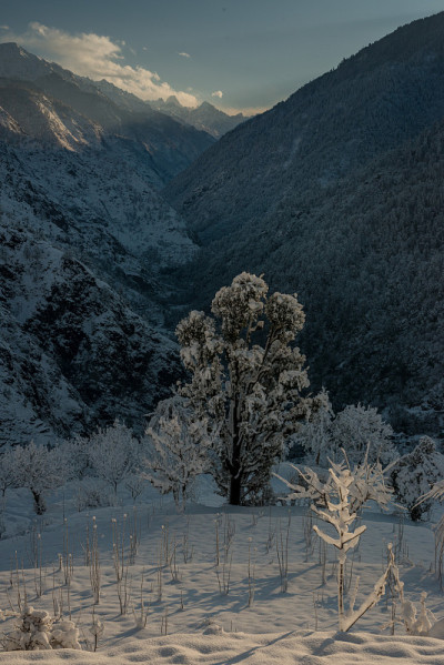 雄伟的冬季景观在喜马拉雅山-印度