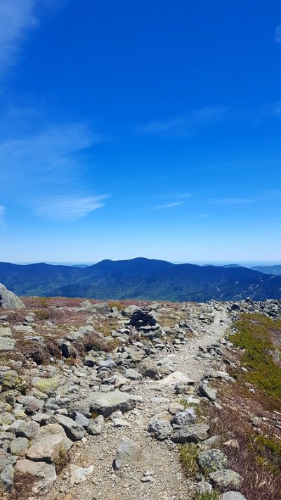 华盛顿山径(图2)