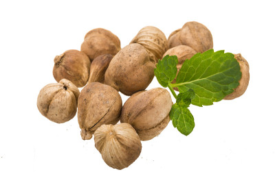 小豆蔻