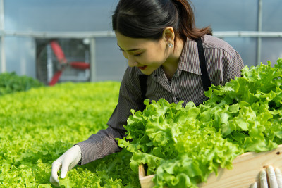 新一代亚洲年轻女性有机蔬菜