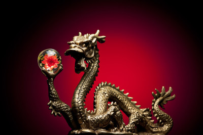 中国龙菊球