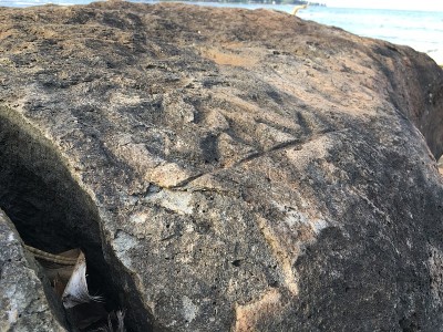 夏威夷考艾岛的春天Hikinaakala Heiau。