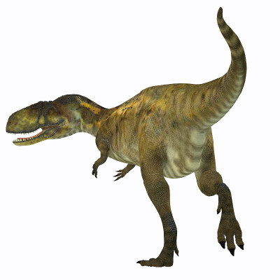 Abelisaurus恐龙的尾巴