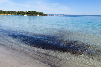 Porquerolles,安静的海滩