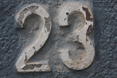 23
