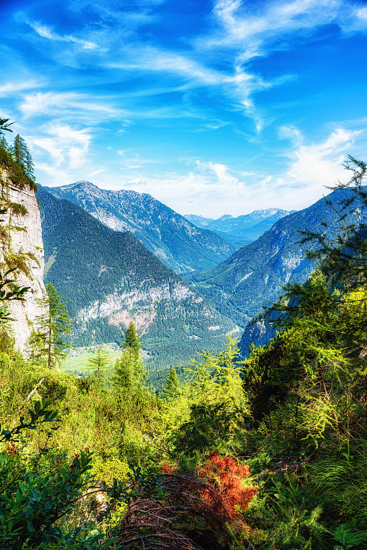 云和蓝天在阿尔卑斯山脉与松树，风景克里彭斯坦达赫斯坦山