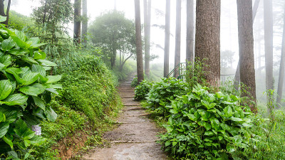 达纳瑙蒂生态公园是季风期间著名的旅游景点