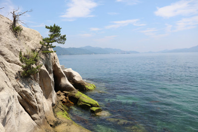 日本大野岛海岸