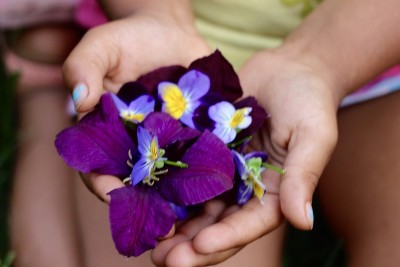 一把鲜花