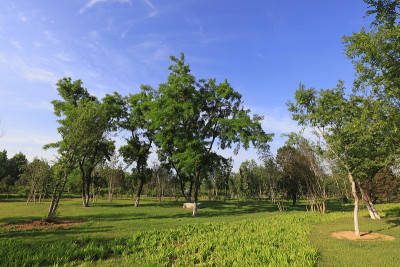 中国唐山植物园景观