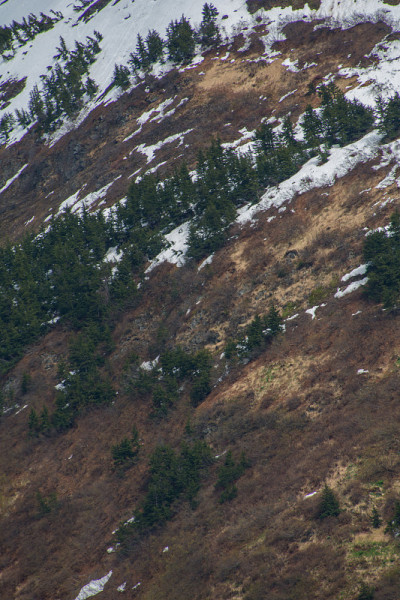 苔原山腰