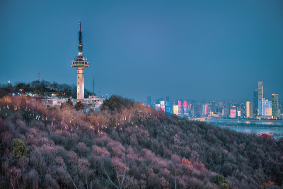 长沙岳麓山电视塔