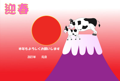 happy new year 2021