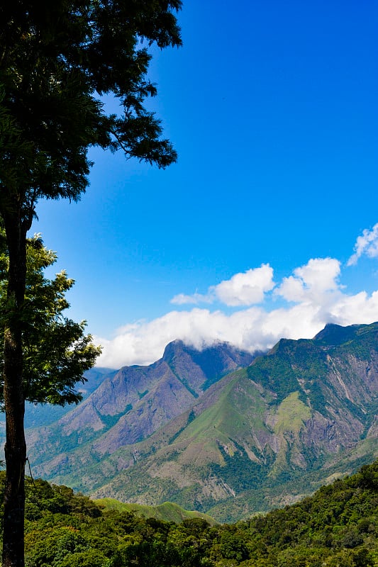 Munnar美丽的风景