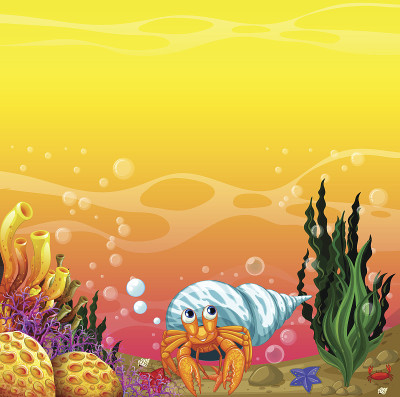 海底贝壳