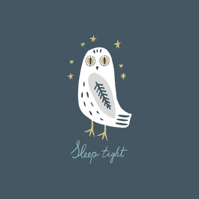 The snowy owl art