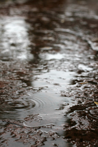 阴天潮湿的地面上有雨滴和水坑