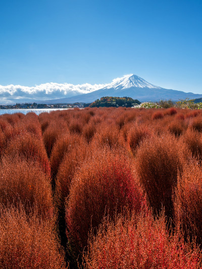 富士山秋色，日本