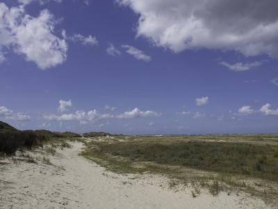 insel