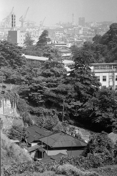 横滨是mitsuzawa