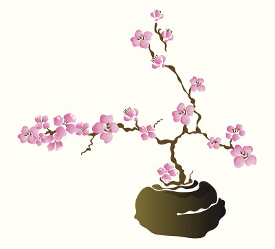 盆景树