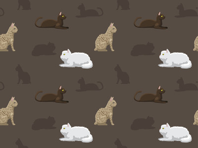 猫壁纸15