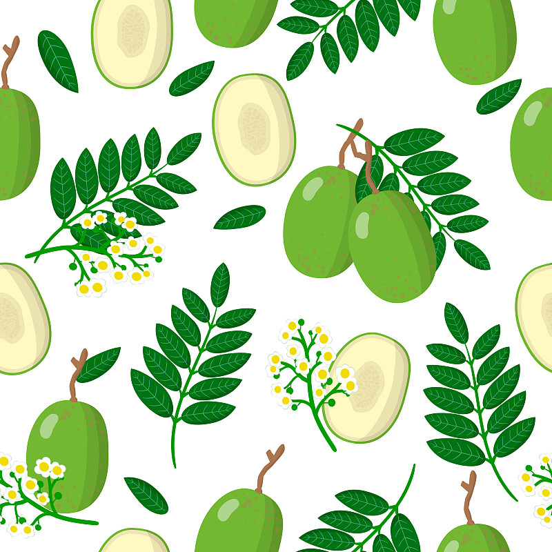 Vector cartoon seamless pattern with Spondias dulc