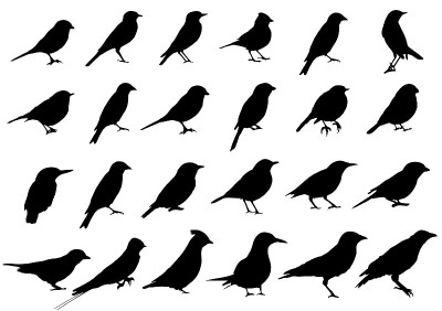 Birds silhouettes collection
