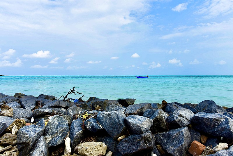 忍受着海浪的冲击