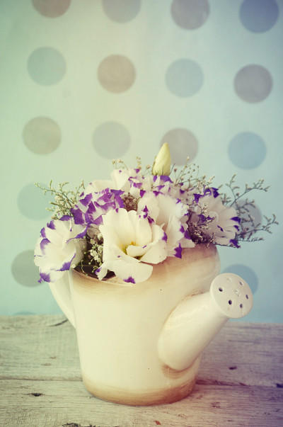 Eustoma花