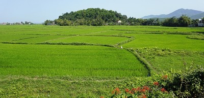 亚洲景观